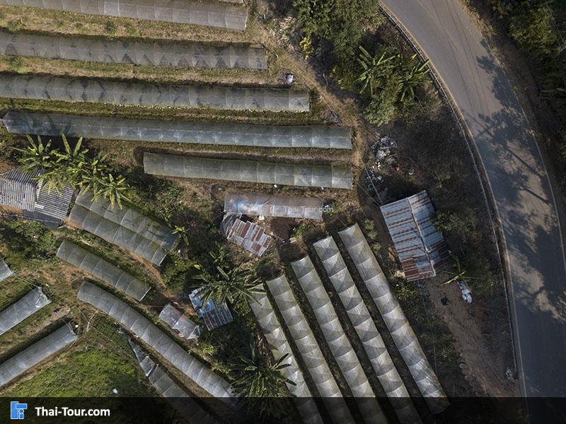 ภาพมุมสูงบ้านขุนกลาง