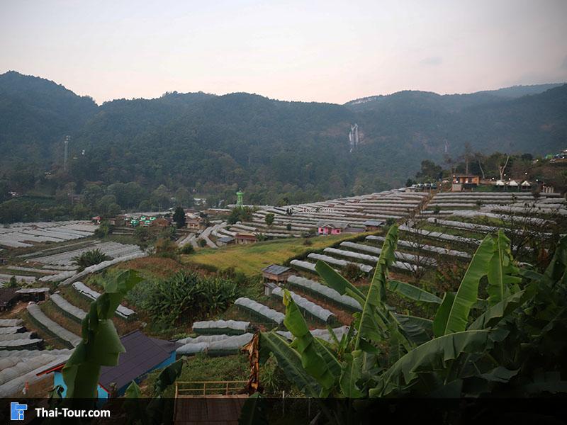 วิวสวยๆพร้อมหมอกจางๆ