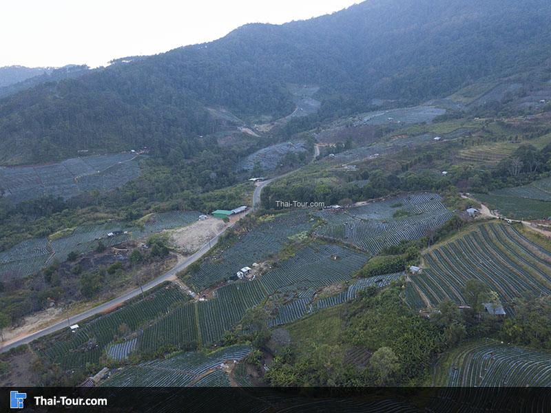 ภาพมุมสูง บ้านขุนวาง