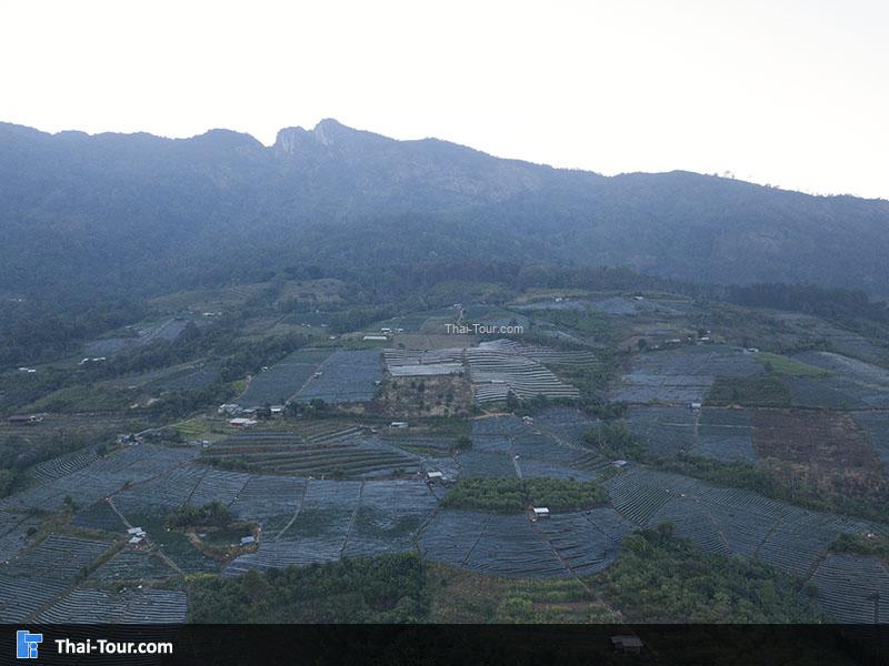 ภาพมุมสูง บ้านขุนวาง