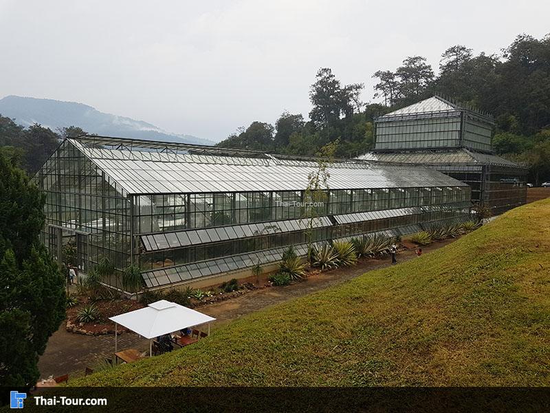 เรือนแสดงไม้ป่าดิบชื้น (Tropical Rainforest) เป็นโรงเรือนขนาดใหญ่ 