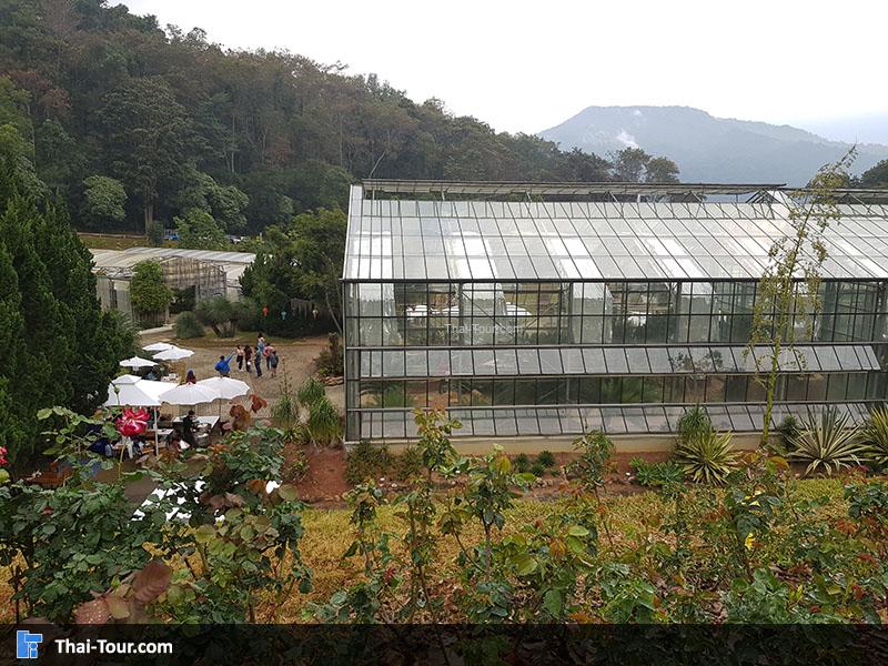 เรือนแสดงไม้ป่าดิบชื้น (Tropical Rainforest) เป็นโรงเรือนขนาดใหญ่ 