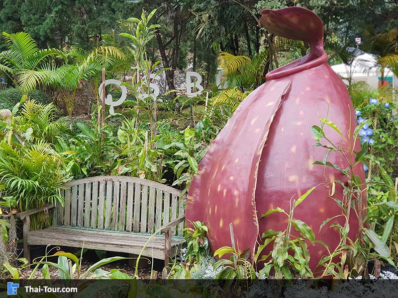 เรือนไม้น้ำ จัดแสดงไม้น้ำและพืชชุ่มน้ำชนิดต่างๆ 