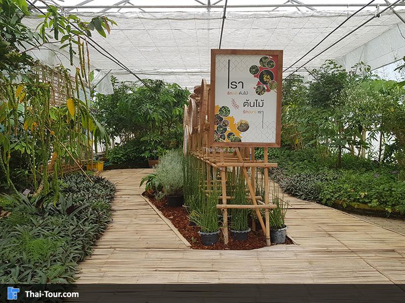 เรือนกล้วยไม้และเฟิร์น (Orchids & Ferns) 