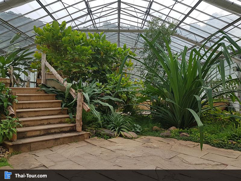 เรือนรวมพรรณบัว