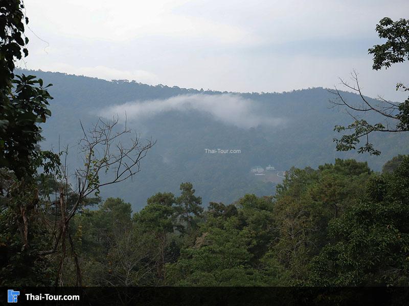 จุดชมวิวบน ทางเดินลอยฟ้า Canopy Walkway