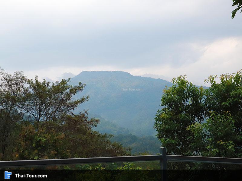 ทางเดินลอยฟ้า Canopy Walkway