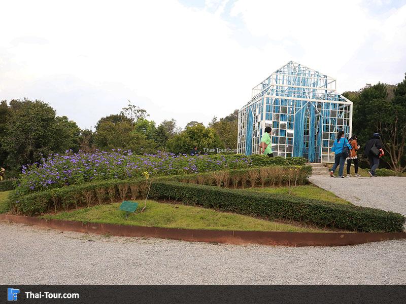 มุมถ่ายภาพด้านหน้า