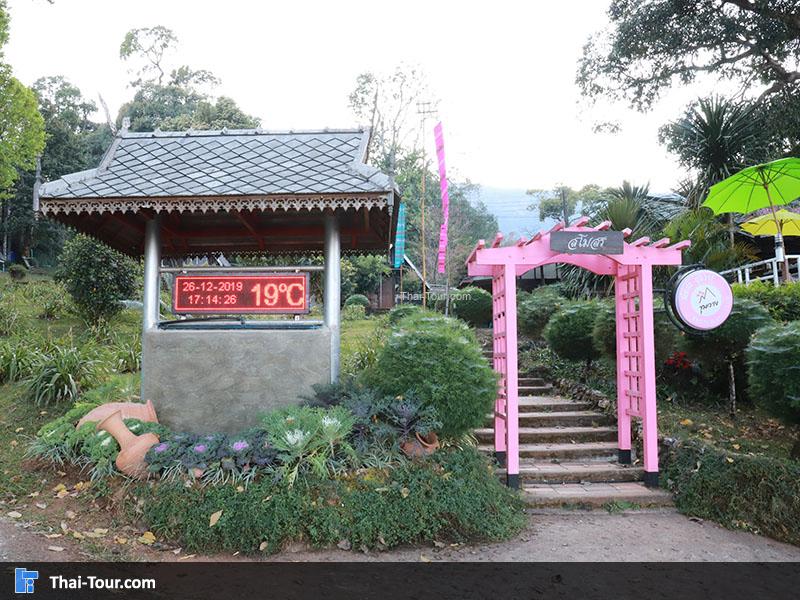 มุมถ่ายภาพสวยๆ ศูนย์วิจัยเกษตรขุนวาง