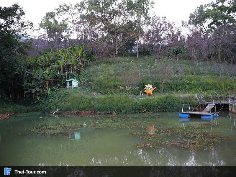 ศูนย์วิจัยเกษตรขุนวาง