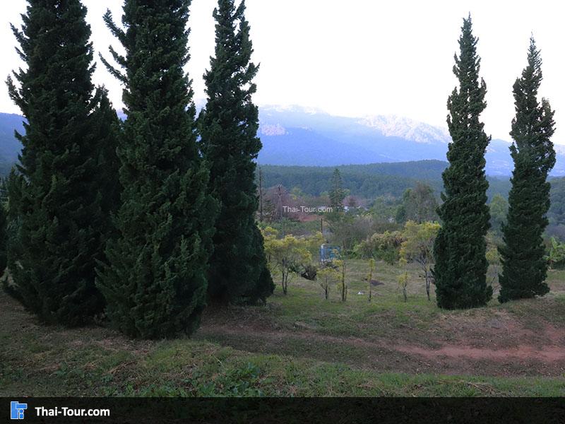 ศูนย์วิจัยเกษตรขุนวาง