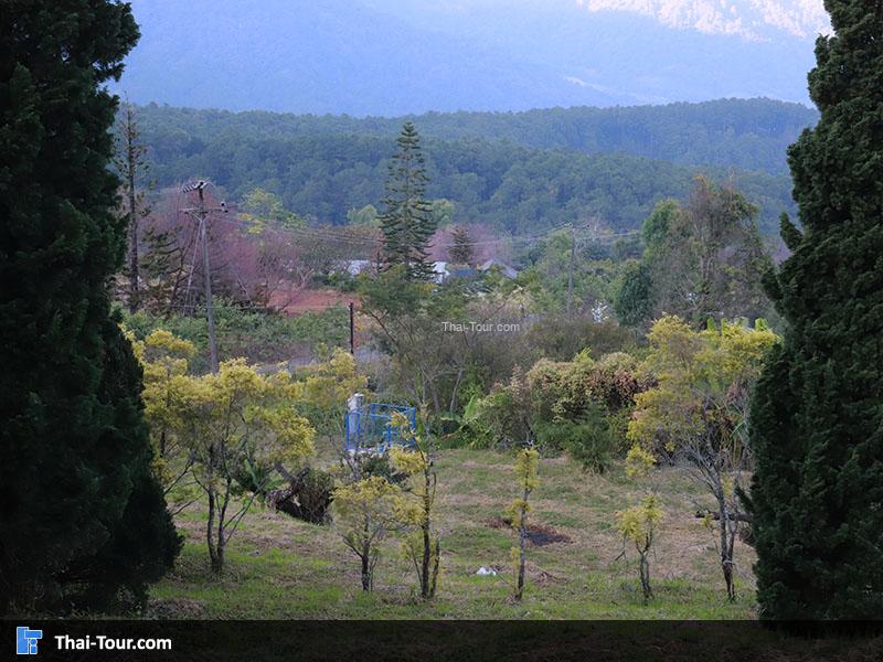 ศูนย์วิจัยเกษตรขุนวาง