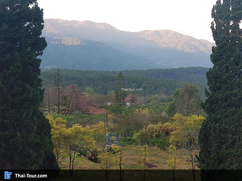 ศูนย์พัฒนาโครงการหลวงขุนวาง