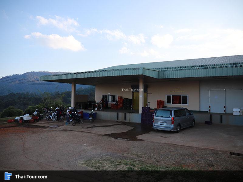 ศูนย์พัฒนาโครงการหลวงขุนวาง