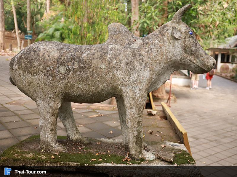 รอบๆ วัดอุโมงค์