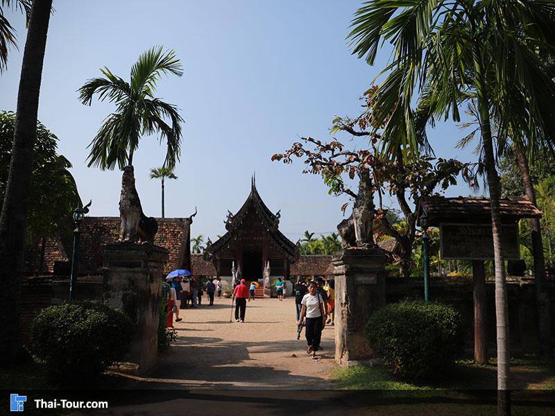 ภาพมุมสูง วัดต้นแกว๋น