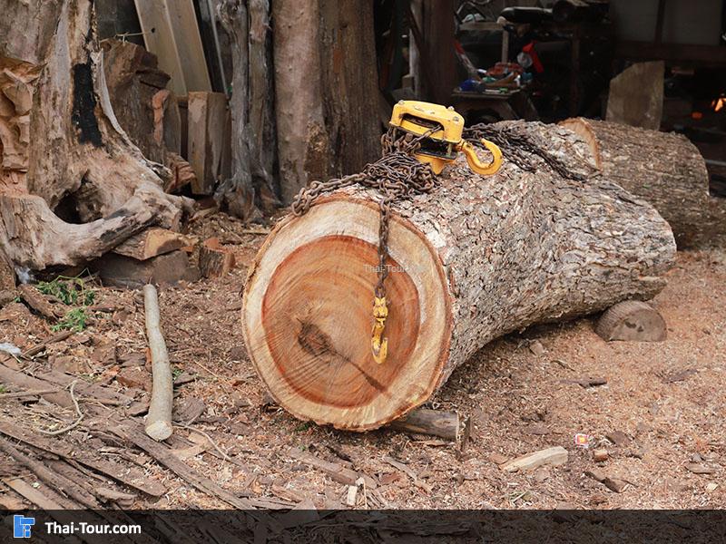 ่ไม้ที่ใช้แกะสลัก