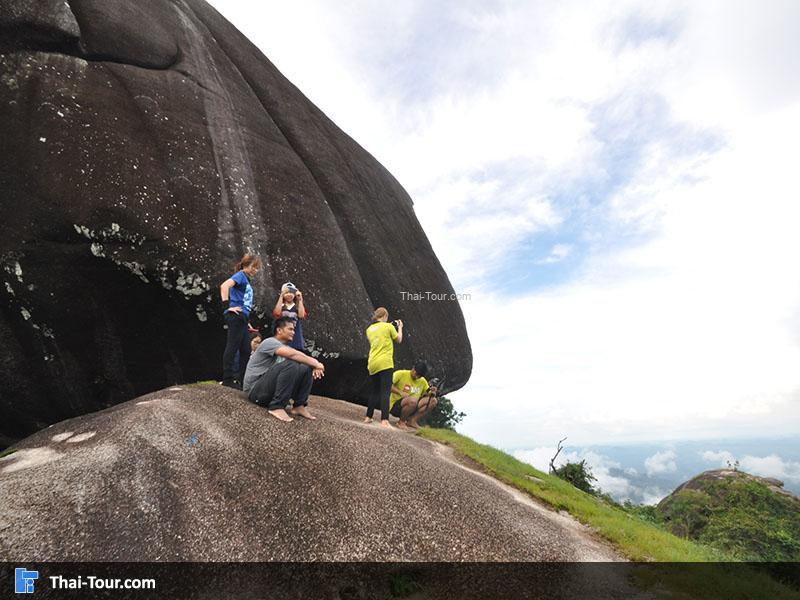 นั่งชมวิววิว