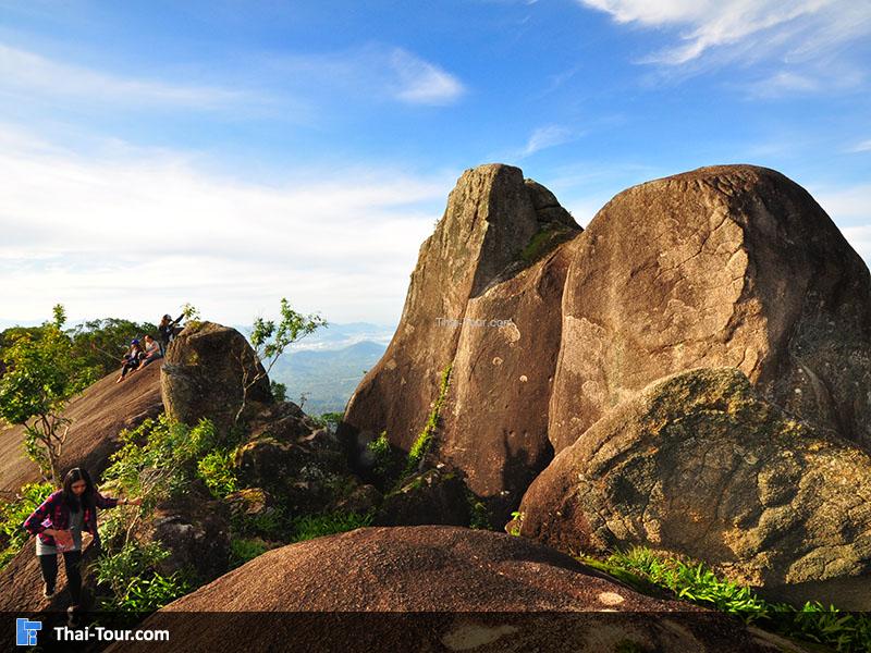 หลังช้าง