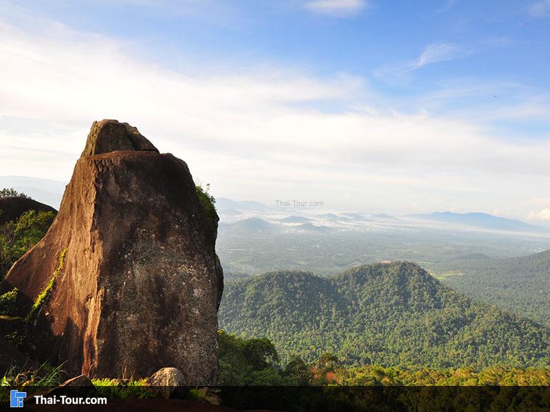 จนชมวิวหลังช้าง