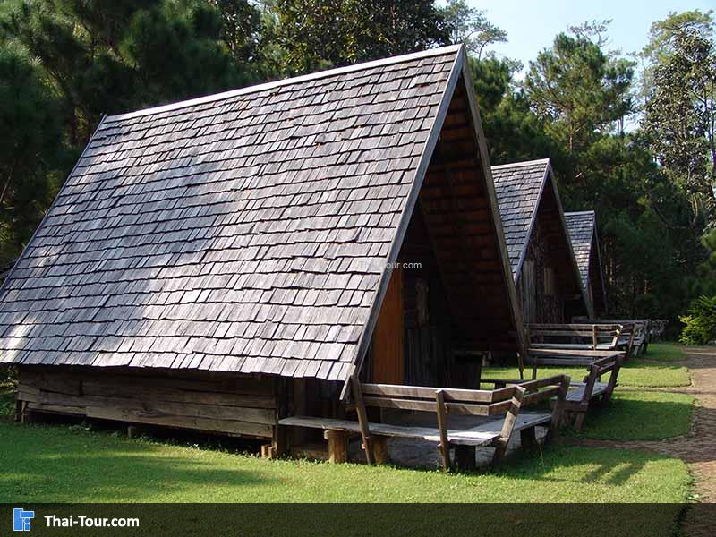 ป่าสนบ้านวัดจันทร์