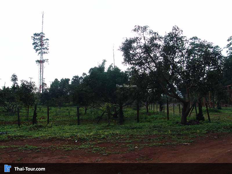 โครงการหลวงบ้านวัดจันทร์