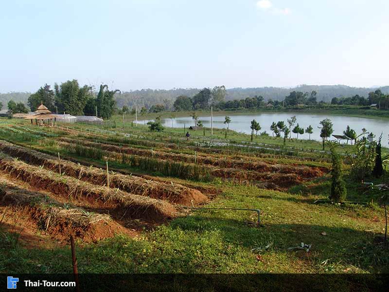 โครงการหลวงบ้านวัดจันทร์