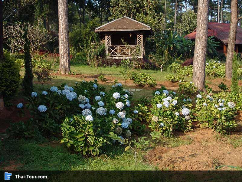 โครงการหลวงบ้านวัดจันทร์