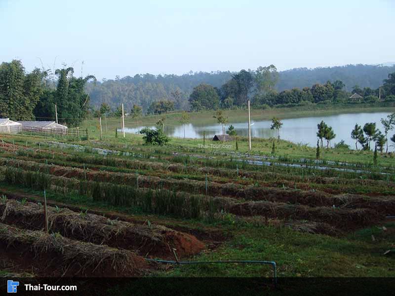 โครงการหลวงบ้านวัดจันทร์