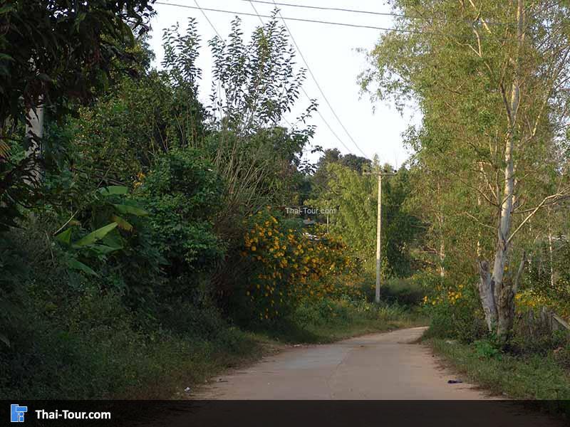 โครงการหลวงบ้านวัดจันทร์