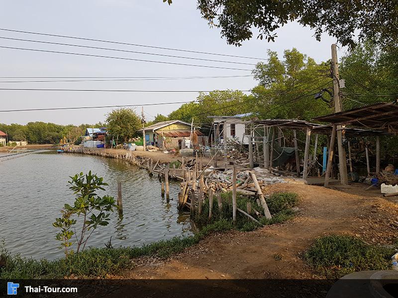 เดินชมวิว วัดขุนสมุทรจีน