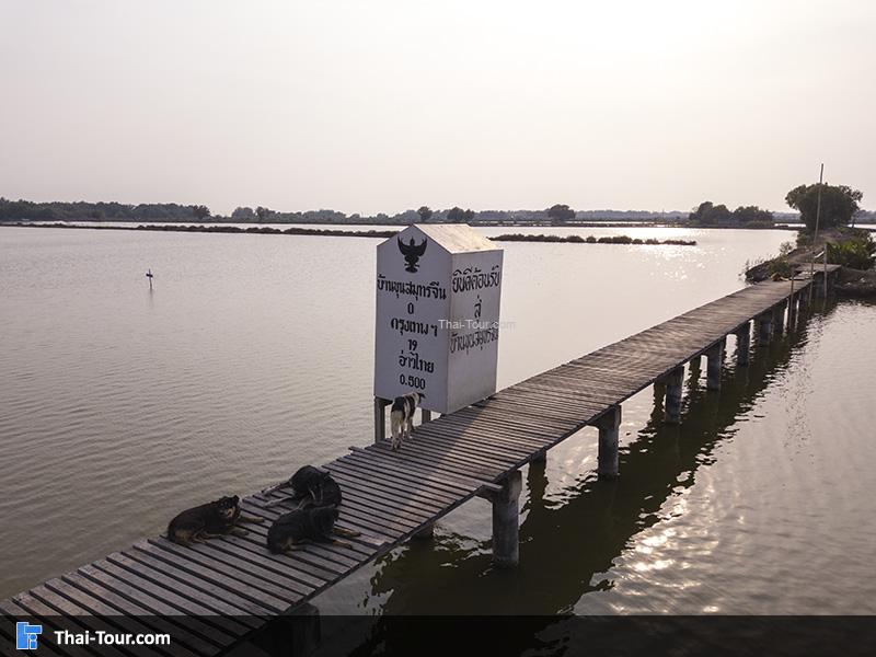 สะพาน วัดขุนสมุทรจีน