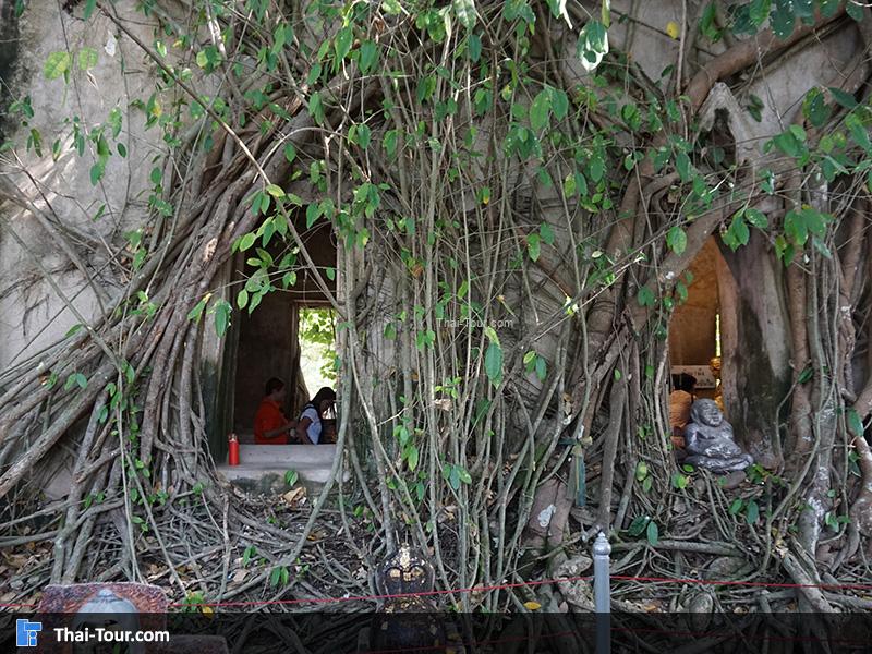 ค่ายบางกุ้ง สมุทรสงคราม