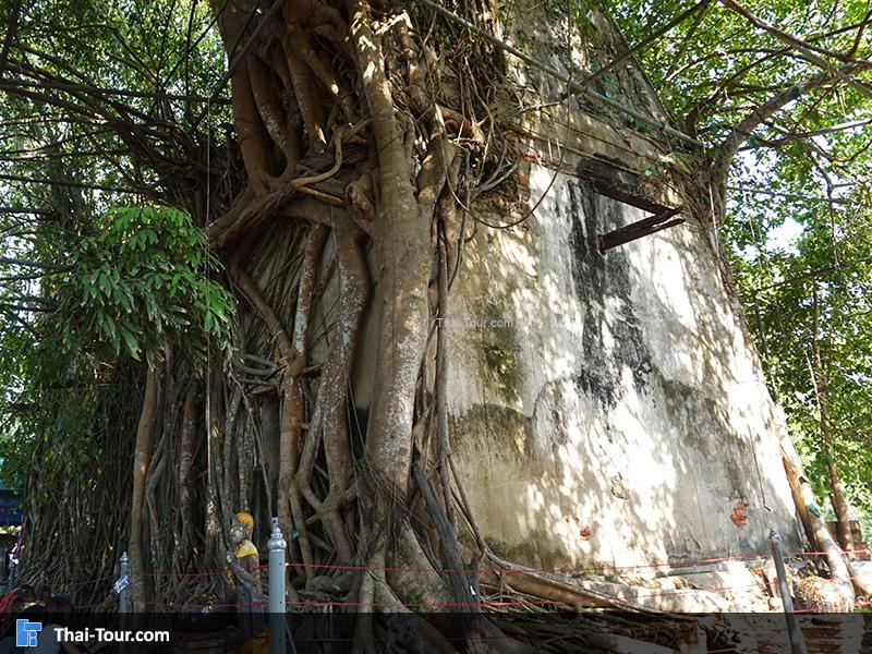 ค่ายบางกุ้ง สมุทรสงคราม