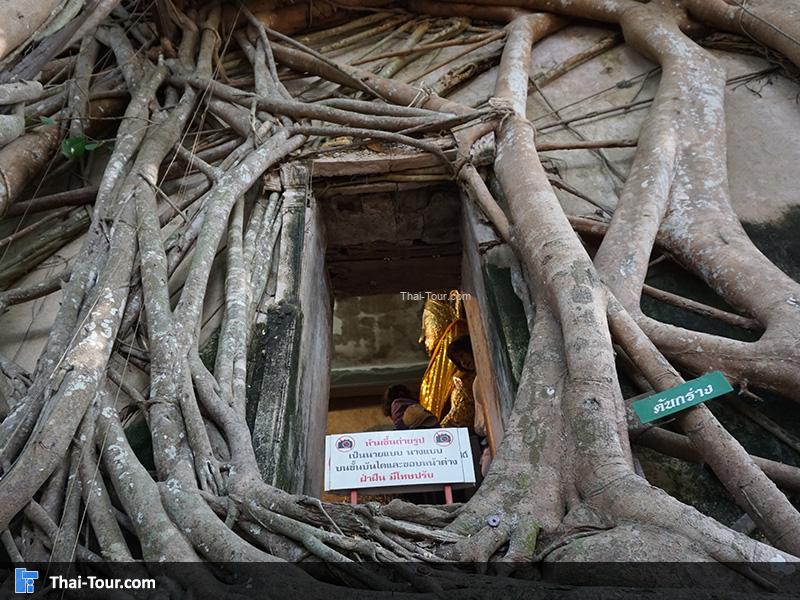 มุมที่คลาสสิคและ ทุกคนมาต้องถ่ายรูป