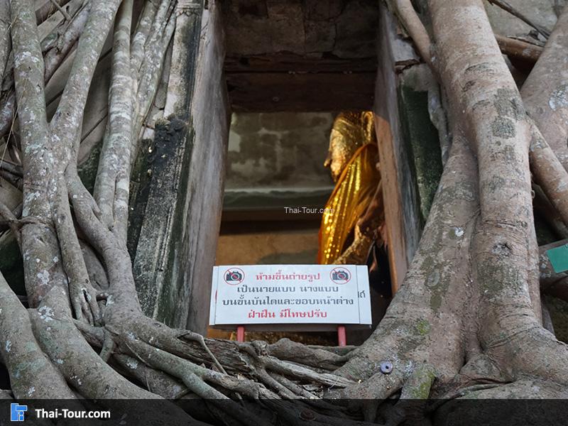 มุมที่คลาสสิคและ ทุกคนมาต้องถ่ายรูป