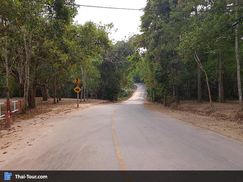ถนน น้ำตกผากล้วยไม้