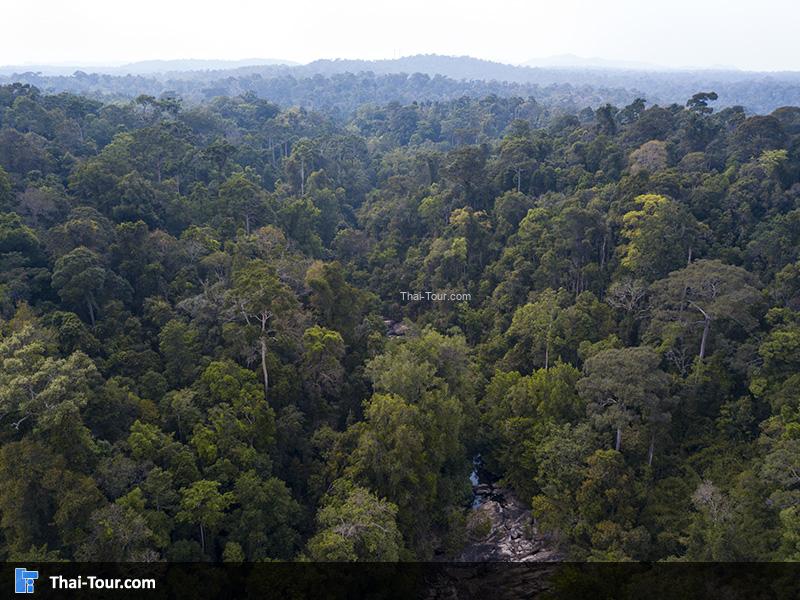 ภาพมุมสูง น้ำตกผากล้วยไม้