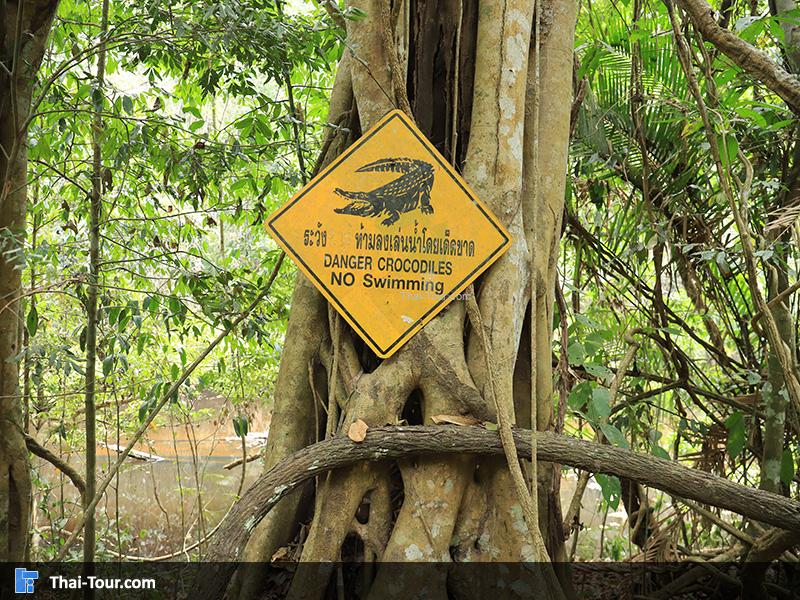 ป้ายระวังจระเข้