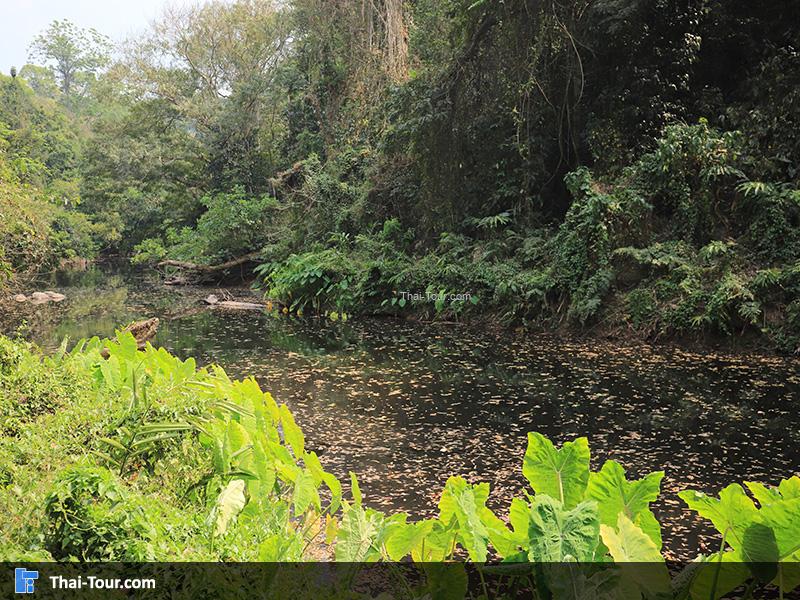 บรรยากาศ น้ำตกผากล้วยไม้