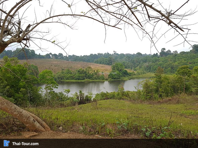 หนองผักชี