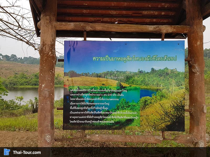 ป้ายประวัติ