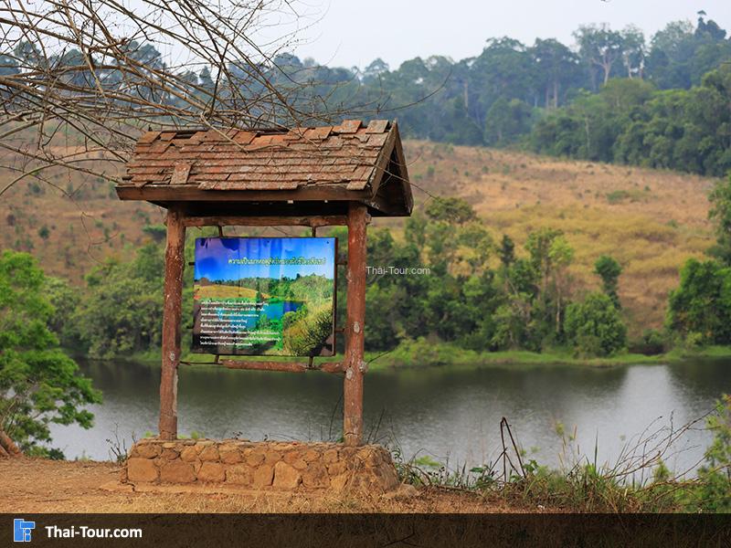 หนองผักชี