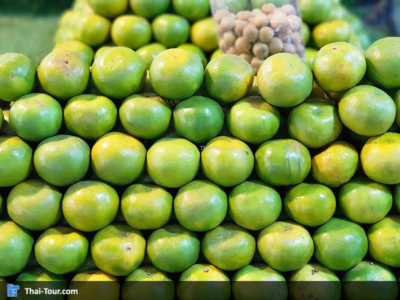 ตลาดดอกไม้ปากคลองตลาดใหม่