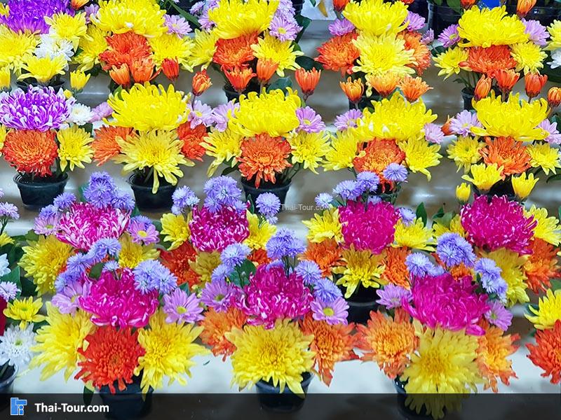 ตลาดดอกไม้ปากคลองตลาดใหม่