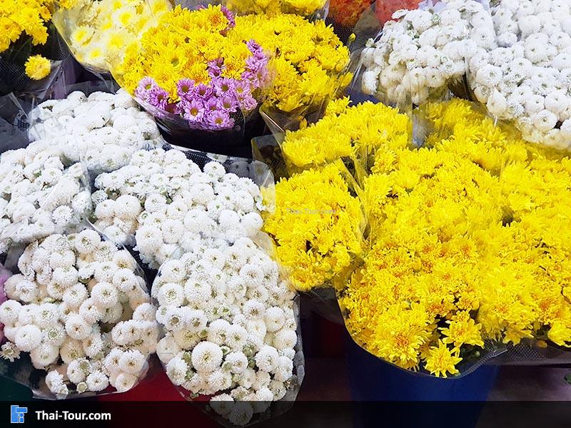 ดอกไม้สวยงาม ตลาดดอกไม้ปากคลองตลาดใหม่