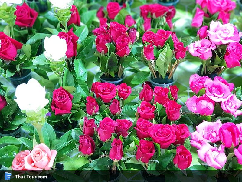 ดอกไม้สวยงาม ตลาดดอกไม้ปากคลองตลาดใหม่