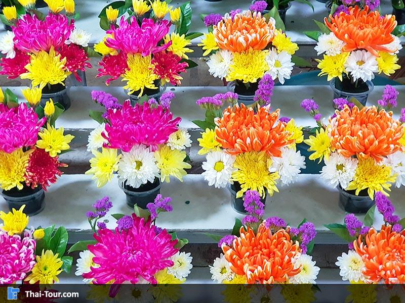 ดอกไม้สวยงาม ตลาดดอกไม้ปากคลองตลาดใหม่