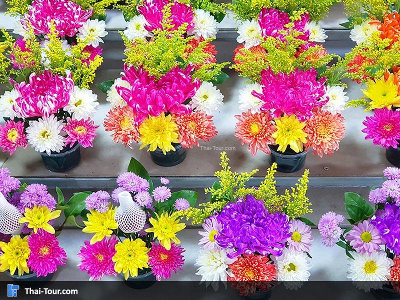 ดอกไม้สวยงาม ตลาดดอกไม้ปากคลองตลาดใหม่