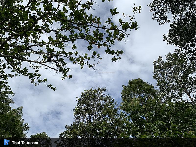 เขาหลวงประจวบ